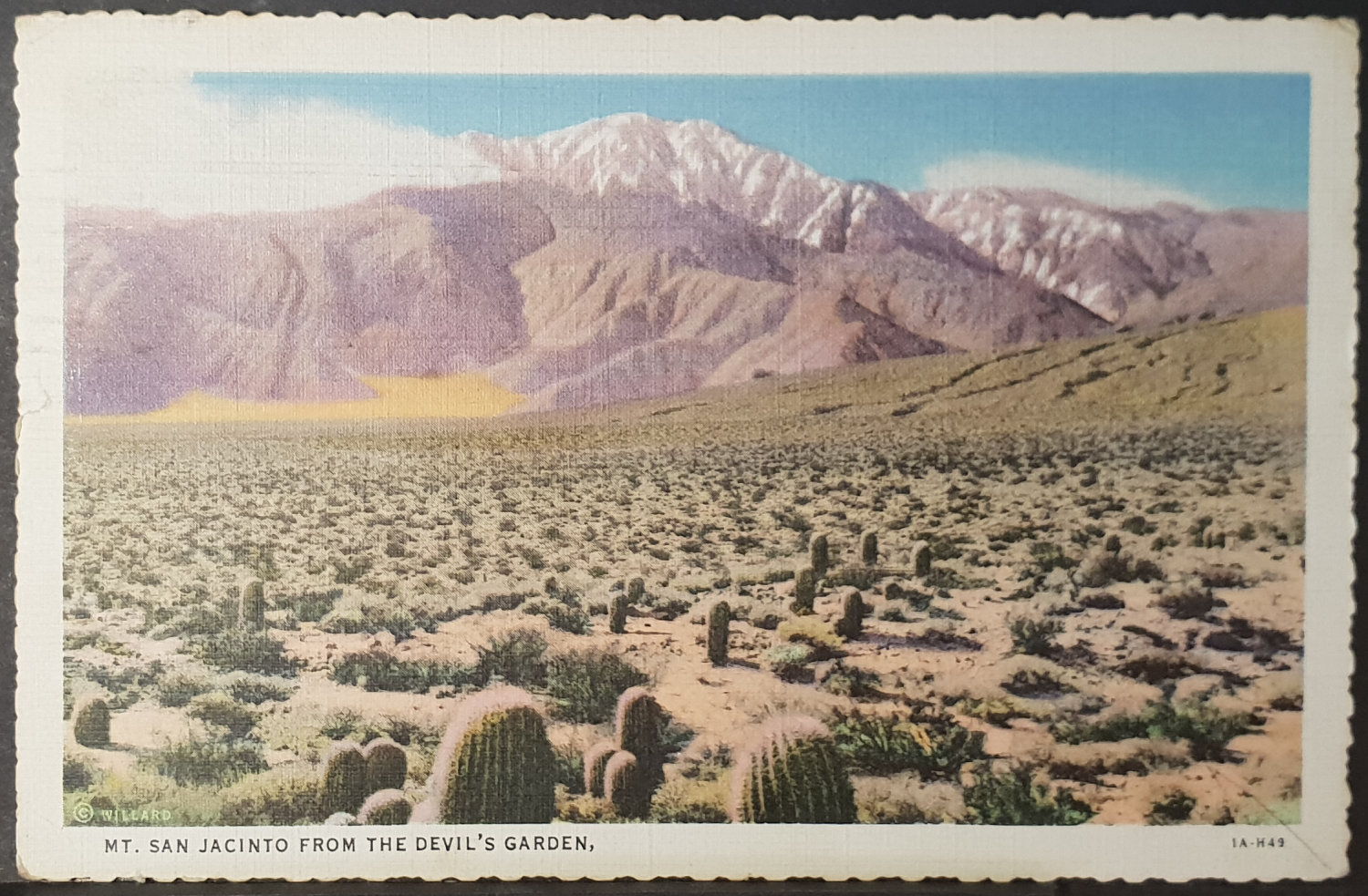 (image for) postcard USA - CA - California #0025